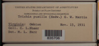Image Associated With the Occurence